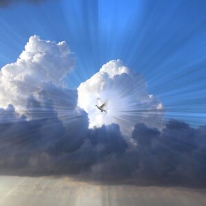 A dove in the sky with light beams around it