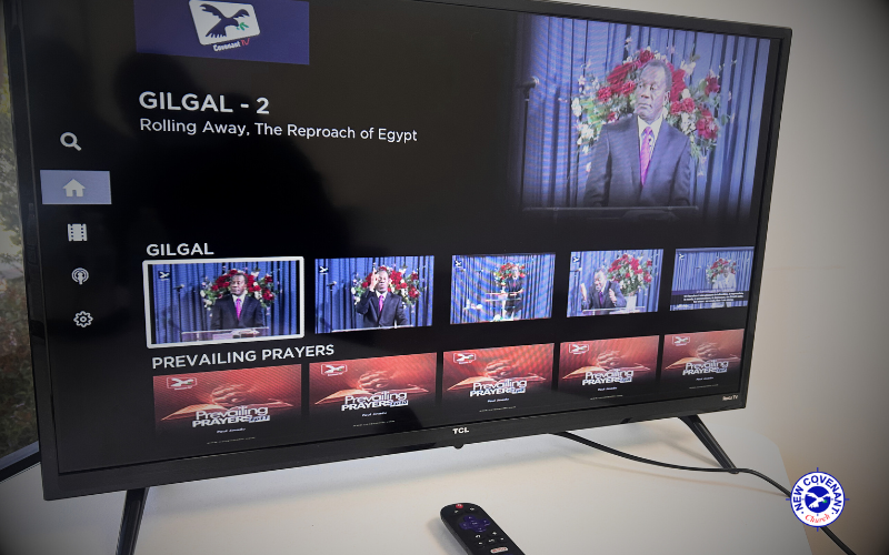 Untitled design (57)